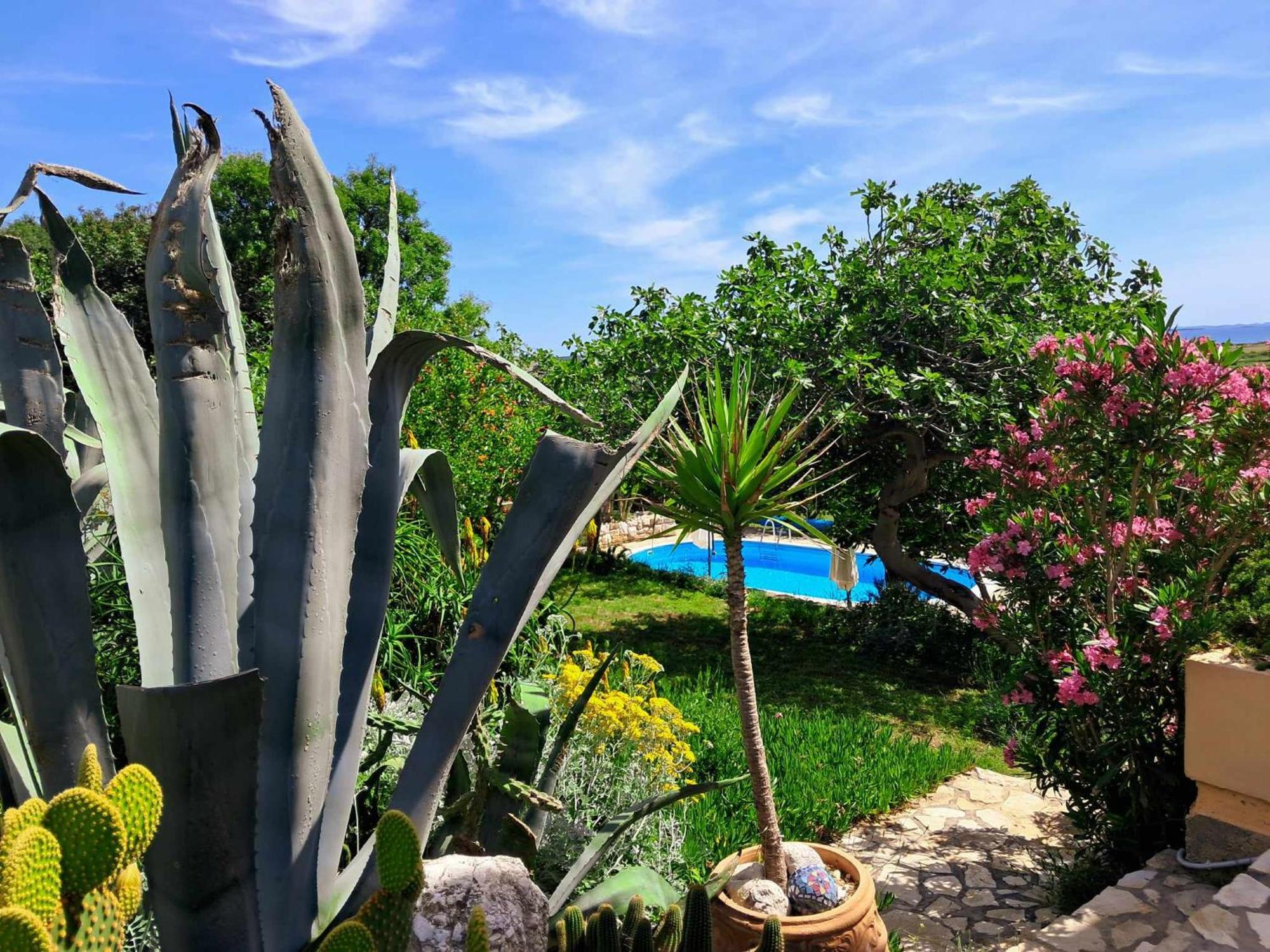 Villa Cesarica โนวาลยา ภายนอก รูปภาพ