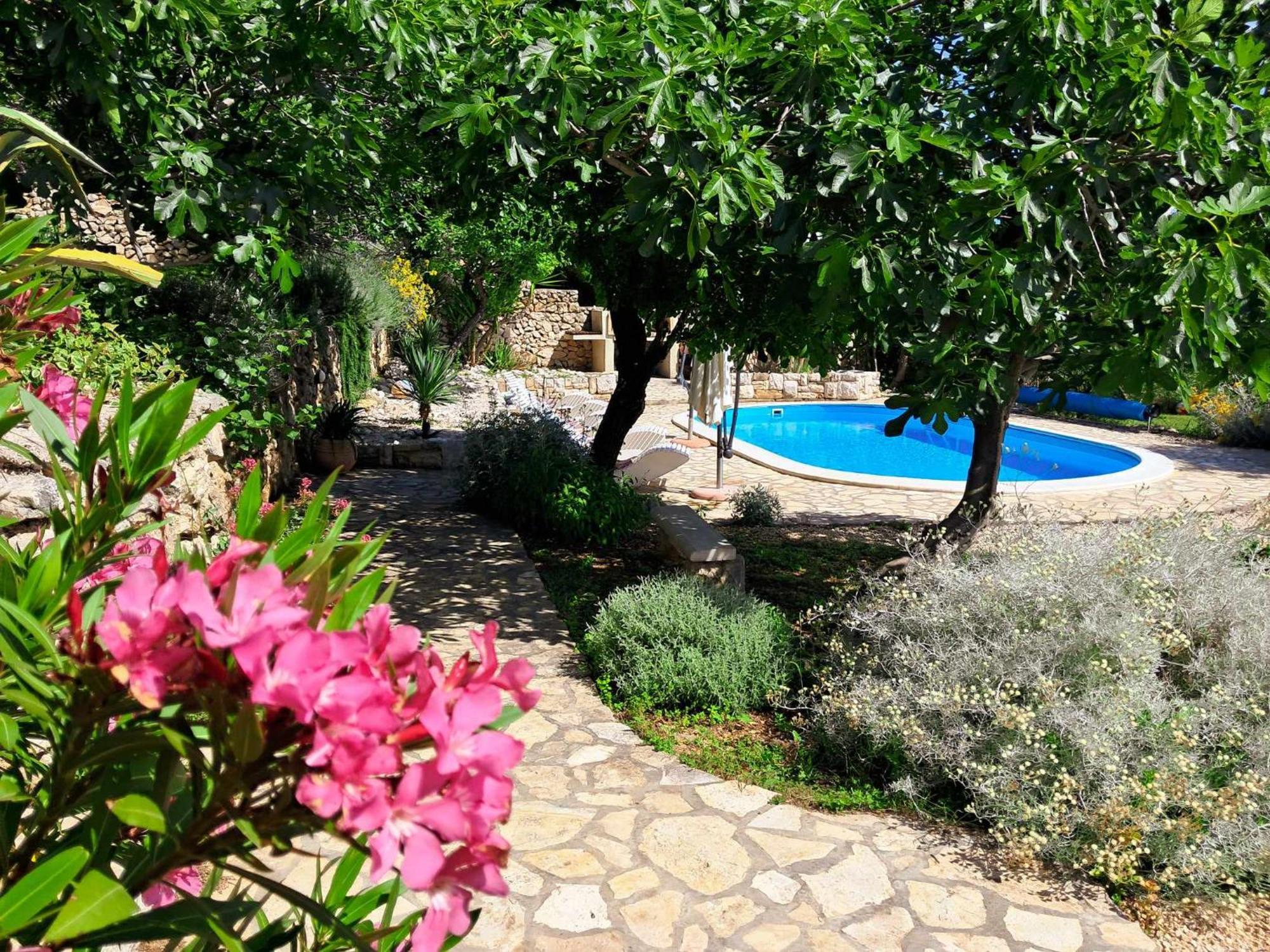 Villa Cesarica โนวาลยา ภายนอก รูปภาพ