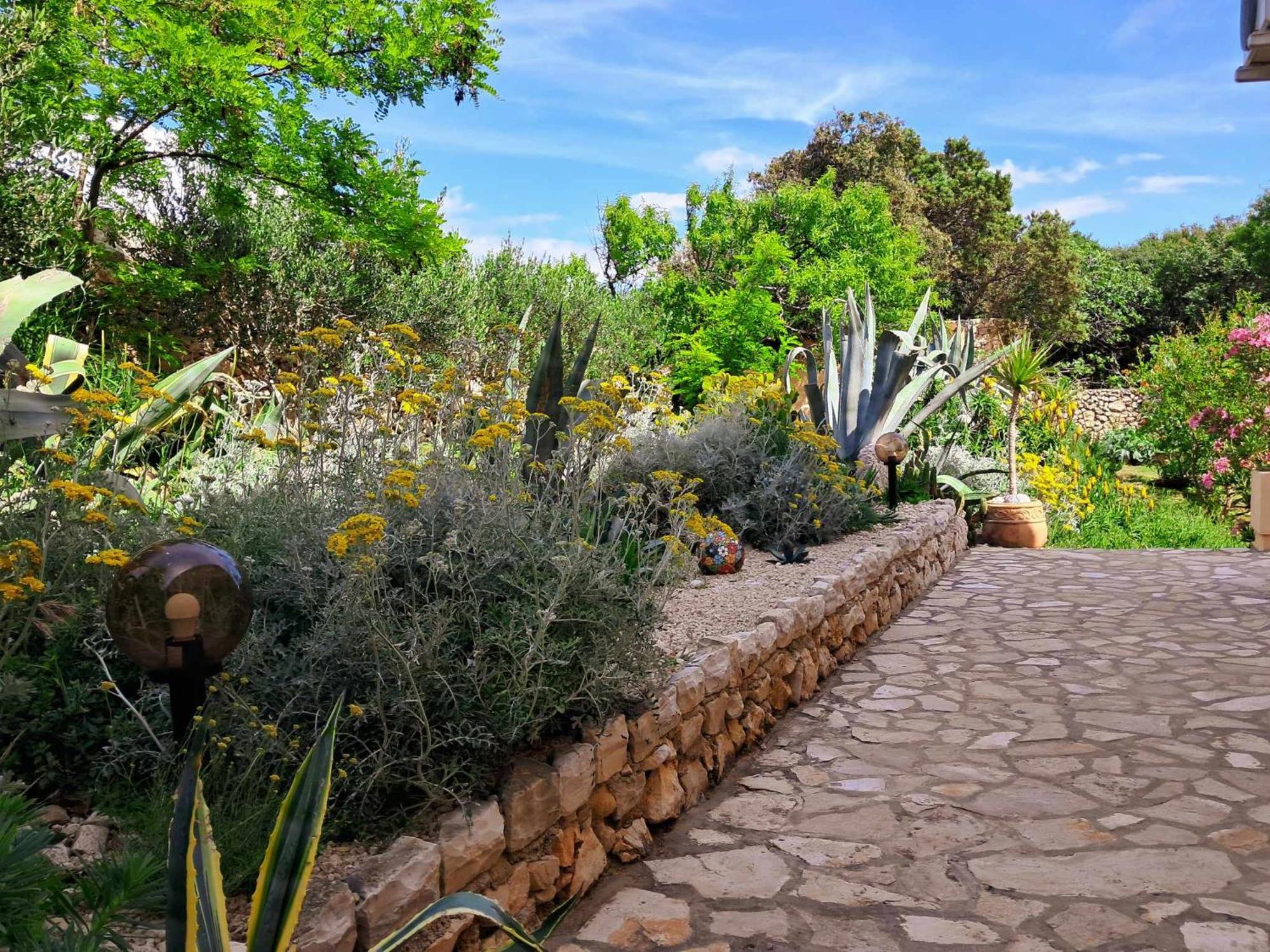 Villa Cesarica โนวาลยา ภายนอก รูปภาพ